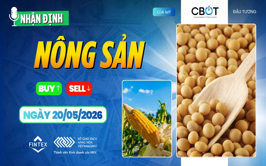 NHẬN ĐỊNH THỊ TRƯỜNG NÔNG SẢN NGÀY 20/05/2026